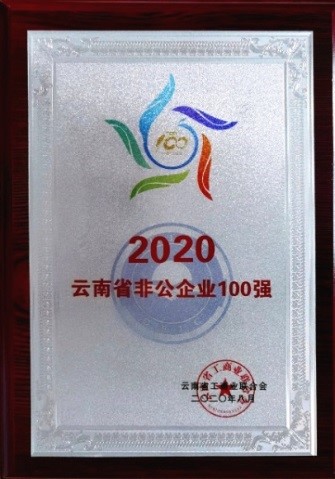 積大制藥連續(xù)多年入圍“云南非公企業(yè)百強榜
